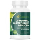 Liposomal Glutathione 2000 MG, Superior Absorption, Glutathione Supplement med Hyaluronic Acid + Collagen Peptide + Resveratrol, Kraftfull Antioxidant, Hälsoålder, 60 Count