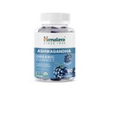 Himalaya Ashwagandha Organic Gummies, KSM-66 Organic Ashwagandha för att hjälpa till med stressavlastning, energi och avkoppling, 60 Gummies med läckra BlackBerry smak