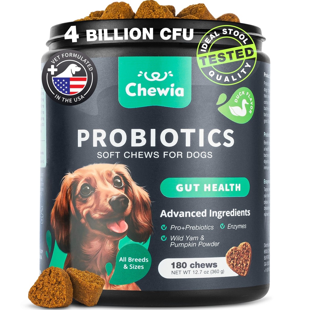 Probiootit koirille Gut Health, Digestio, Immuniteetti, Hiivatasapaino, kutiava iho, Allergiat Tuki - Dog Probiootti pureskella digestiivinen Enzymes Gut Flora- pehmeät hoidot kanssa kurpitsa ja hiivajauhe