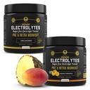 HRDWRK - 100 tarjoilua Keto Electrolytes Powder Hydration Sugar Free - Elektrolyyttijauhe parantaa kestävyyttä & vähentää väsymystä Electrolyyttejä täydentää - makuamaton & Mango Ananas Set