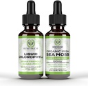 Benevolent Chlorophyll Liquid Drops + Irish Sea Moss Drops 2oz, 4 Month Supply Liquid Chlorophyll Supplement för Internal Deodorizer & Radiant Skin