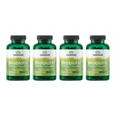 Swanson Probiootti - Dgestive Health Supplement w/ 1 miljardia PMY per kapseli - Natural Formula Support Bowel Säännöllisyys & Päivittäinen hyvinvointi - (120 kapselia) (4 pakkaus)