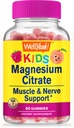 WellYeah Magnesium Citrate Gummies för barn - Chewable Stress Relief Supplement for Children - Natural Calm, Mood Support, Non-GMO, Gluten Free - Natural Sourced Flavors - 60 Gummies