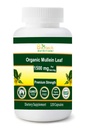 Luomu Mullein Leaf 1500 mg Tarjoilu 120 Kasvikapselit Valmistettu Yhdysvalloissa