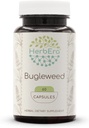 HerbEra Bugleweed 60 kapslar, 400 mg, Made with Bugleweed (Lycopus Virginicus) Dried Herb (60 kapslar)