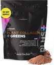Livingood Daily Plant Collagen + Greens Powder, Chocolate, 5-in-1 Collagen Support with Pea Protein, amino acids, Spirulina, Klorella & C-vitamiini, Hiusten ihokynnet Tuki, Vegan, 30 Servings