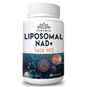 1600 mg liposomaalinen NAD-lisä, 98% puhdasta NAD+-lisäainetta, ylivertainen imeytyminen, vaihtoehto Nikotinamidi Ribosidille tai NADH: lle NAD+: lle vanhenemisen varalta, energia, pitkäikäisyys, 60 Softgelia
