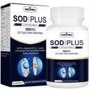 Superoksidi Dismutaasi Supplement 500mg - SOD Lisäksi liposomaalinen glutationi, AKG, vihreä teeuute, L-arginiini, Lysiini, Resveratrol ja E-vitamiinia immuunitukeen, antioksidantti 60 kapselia