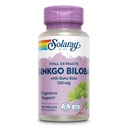 SOLARAY Ginkgo Biloba Extract kanssa Gotu Kola - Ginko Biloba kapselit aivojen terveystuki - Vegan, Lab todennettu, 60 päivän takuu - 60 palvelinta, 60 VegCaps (60 VegCaps)