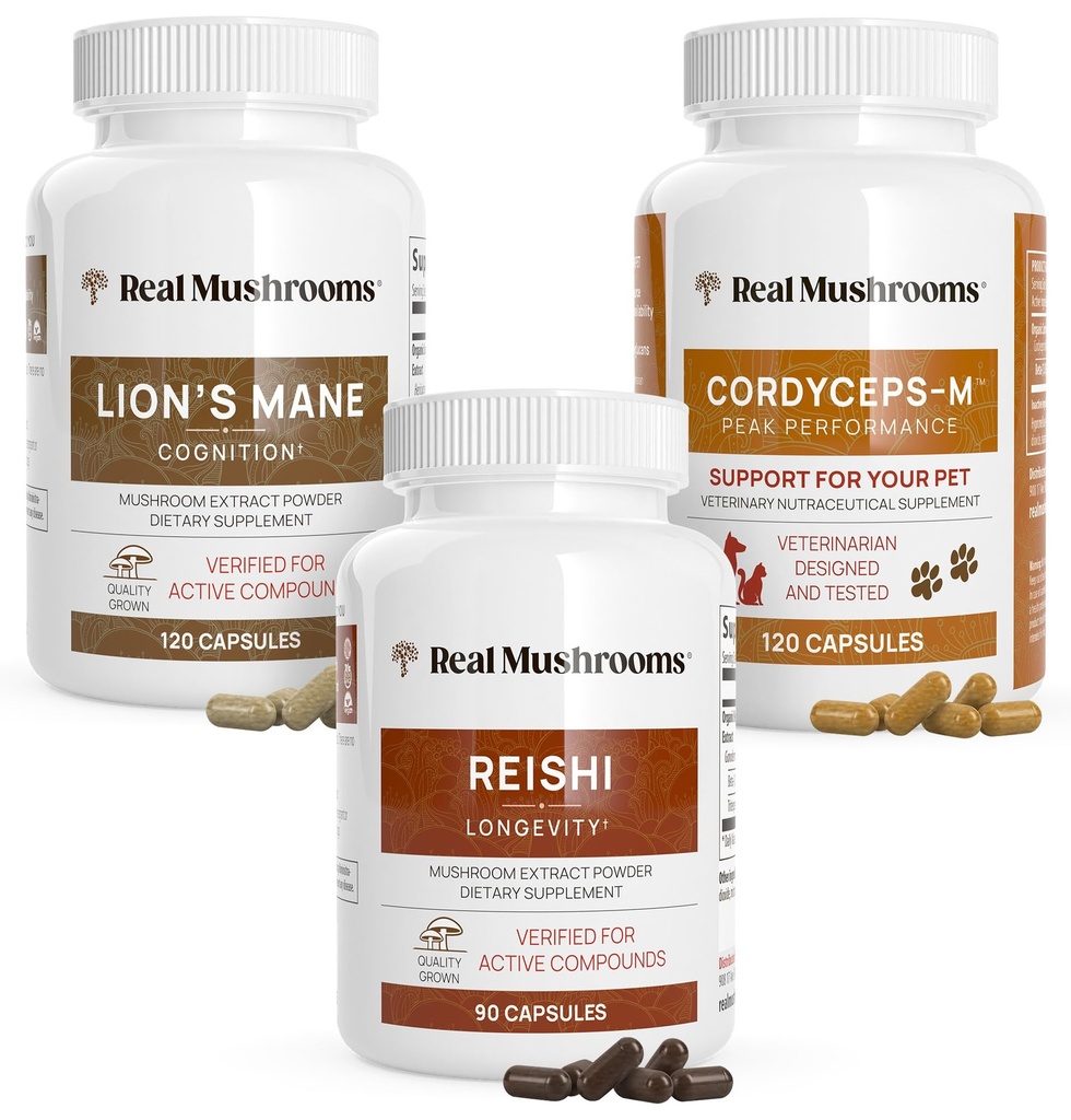 Real Mushrooms Brain, Vitality & Immuunituki Bundle - Lion