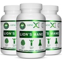Genex Formula Lions Mane Supplement 100% Lions Mane Extract (3 pakkaus) - Nootropic aivojen tuki täydentää aivojen Boost, Focus, Mental Clarity, Natural Energy, 1000mg / serving - (360 kapselia)