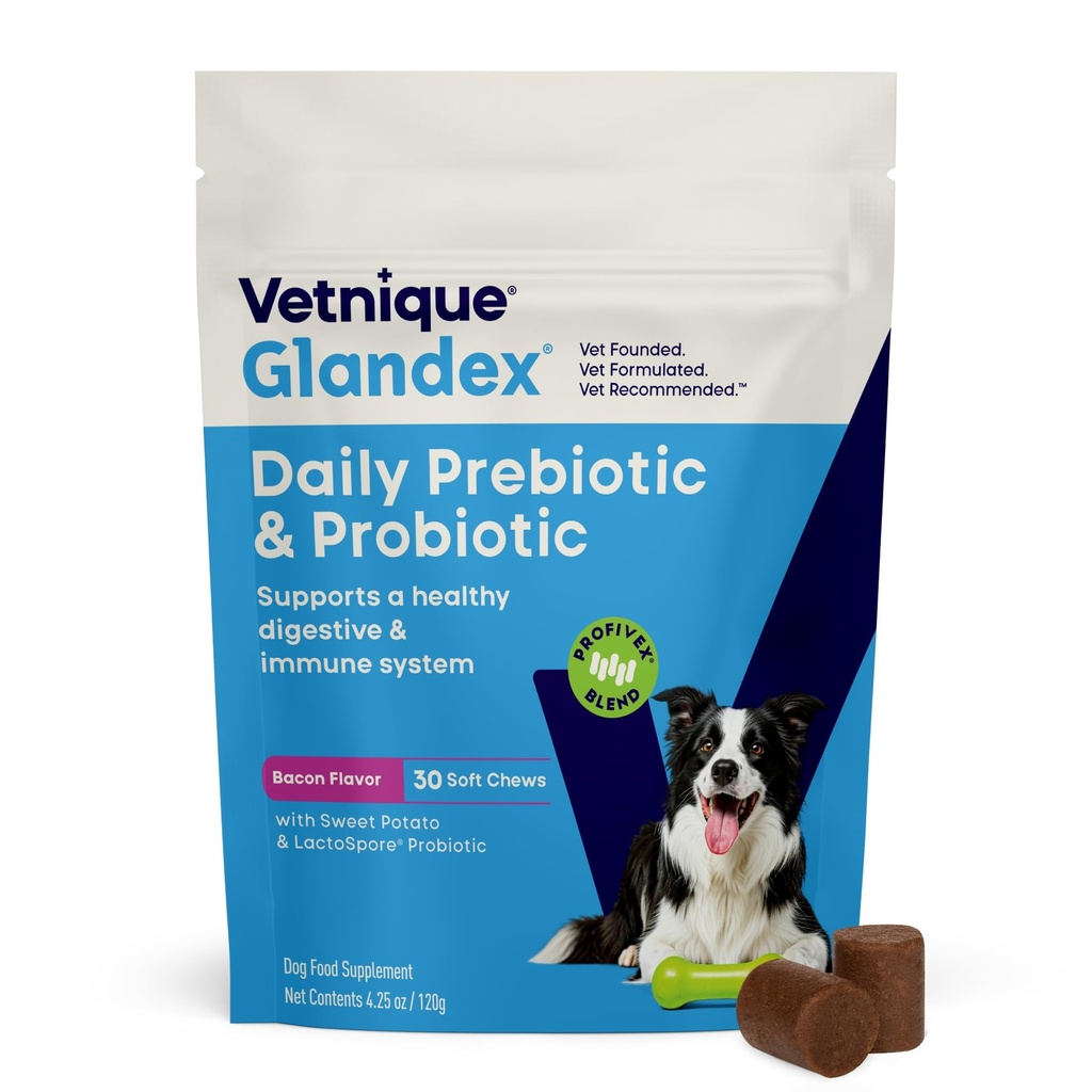 Vetnique Glandex Daily Probiootit koirille prebiootit tukemaan Gut Health kuitua ja digestiivinen Enzymes, Probiootti purukumia tai jauheita (30ct Chews, Bacon Chews)