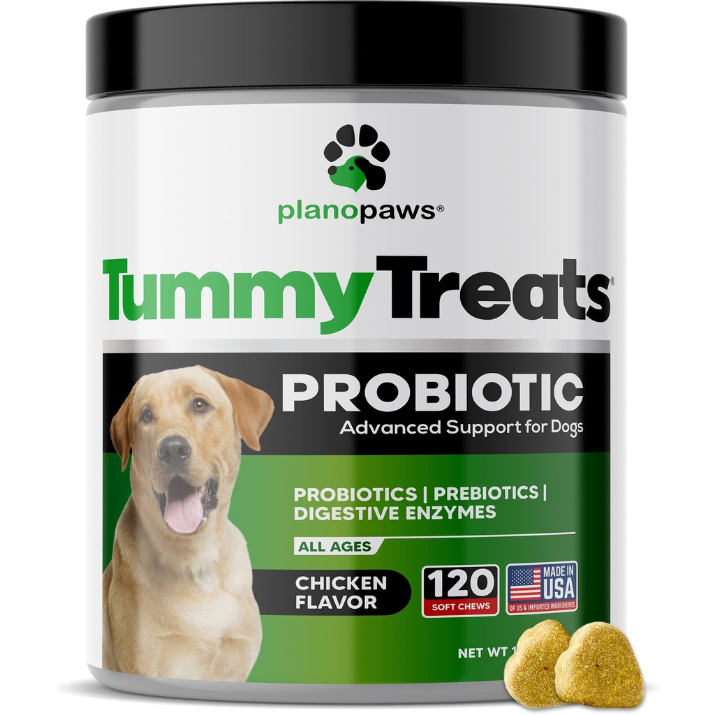 Probiootit koirille digestiivinen terveys - Dog Probiootit ja digestiivinen Enzymes - Allergia helpotus koirille - Probiootti koirille Gut Health - pentu Probiootti vatsan hoidot - 120 Dog Probiootti Chews