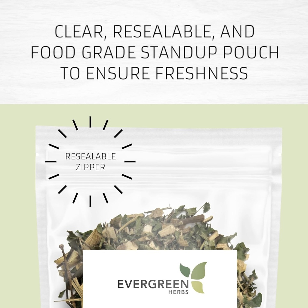 Evergreen Yrtit Cuachalalate Herb (Amphipetyglum Adstringens) - Resealable Stand Up Pouch varmistaa tuoreutta! (Tea Bags)