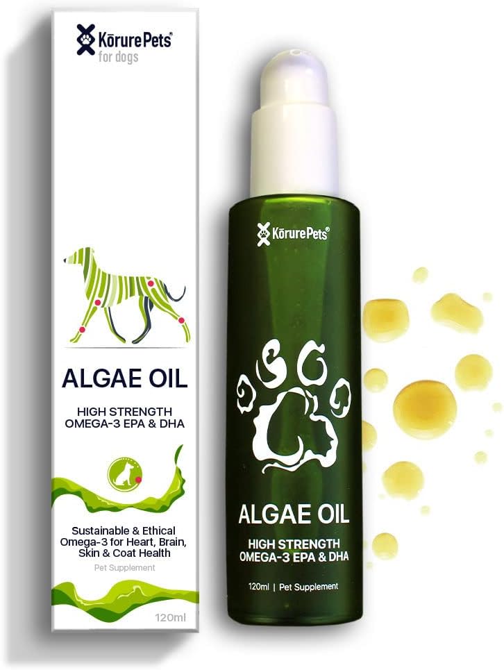 Omega 3 för hundar, hud- och pälstillskott för hundar, Algae Oil, Alternativ fiskolja för hundar, allergi och dog Itch Relief, Dog Anti Shedding Supplement, Dog Dry Skin Treatment, från Nya Zeeland 120ml