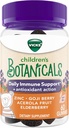 Vicks Children's Botanicals Daily Immuunituki* + antioksidantti toiminta, Gummies, valmistettu sinkki, Goji Berry, Acerola Fruit ja Elderberry, 60 t