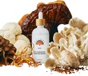 Rainbo - 11:11 Multi Mushroom Tincture - 11-in-1 Dual Extract Mushroom Blend - Comprehensive Immunosupport, Brain Support, Lion's Mane & Turkey Tail, Vegan, Non GMO, 3.4 fl oz