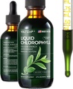 Klorofyllin nestemäiset tippat - Premium Liquid Clorophyll Supplements for Immuun, Energy Increase, Ruoansulatuskanavan tuki, Gut & Skin Health - Natural & non-GMO & Vegan Mint Flavored 2fl.oz