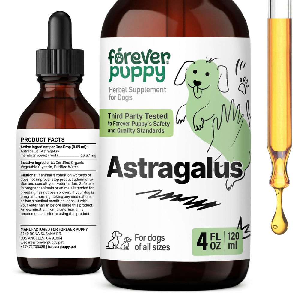 Ikuisesti koiranpentu Astragalus Root Drops koirille - Astragalus Membranaceus Extract koiran immuuni tuki - Herbal Lemmikkinesteen lisäravinteet immuniteetille ja iloisille lemmikkieläimille hoito - 4 oz