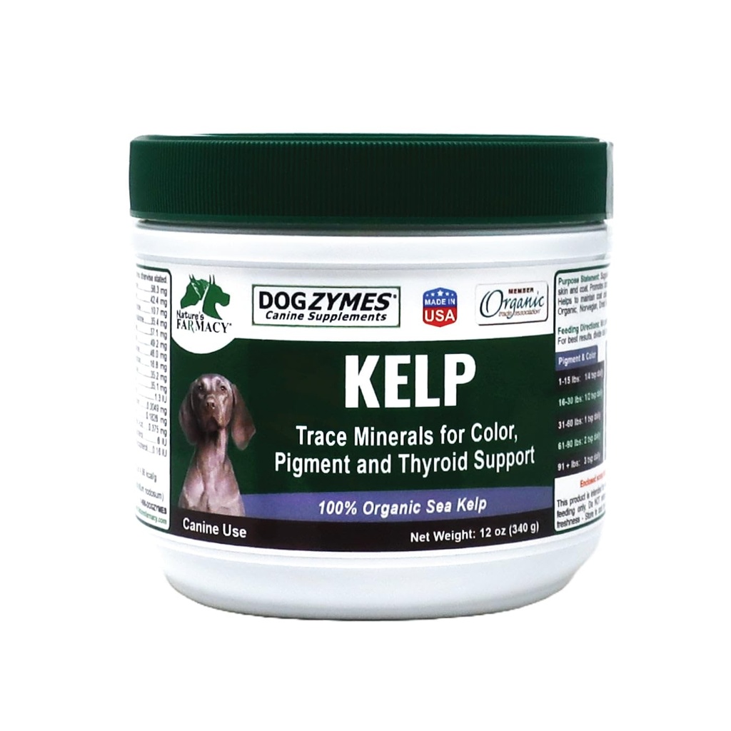 Dogzymes Organic Norwegian Kelp Lemmikkieläimet, arvokas ravitsemus lähde Rikas Jodi tukea Gland toiminto, erityisesti Kilpirauhasen (12 Ounce)