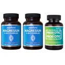 Zentastic 2 Pack 4-in-1 Magnesium Complex - kelated Magnesium Glycinate, Malaatti, Taurate & laktaatti & 1 pakkaus Probiootit & Prebiootit täydentää