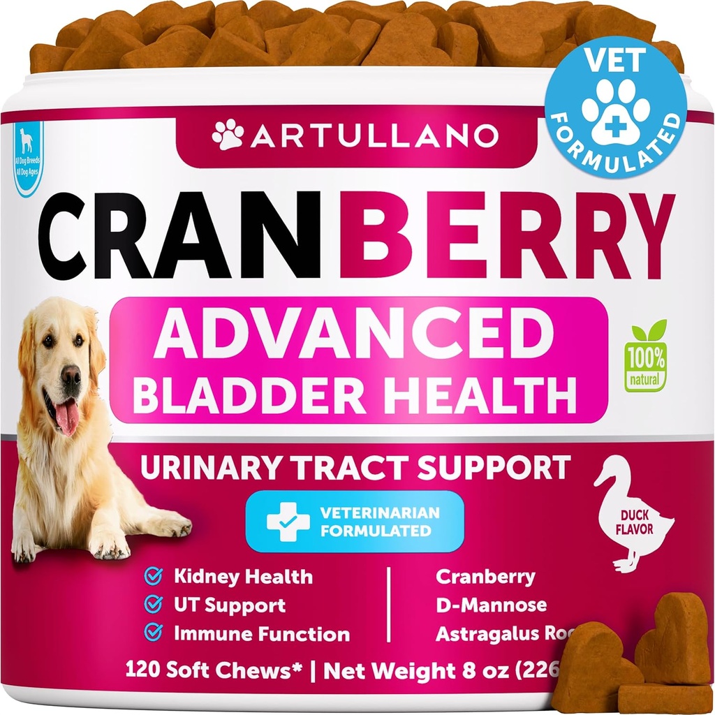 Hund UTI Behandling - Cranberry Supplement & Bladder Control för hundar - Urinary Tract Infection Incontinence Pill, Bladder Stones - UTI Medicine Treats - 120 Soft Chews för njursupport med fiskolja