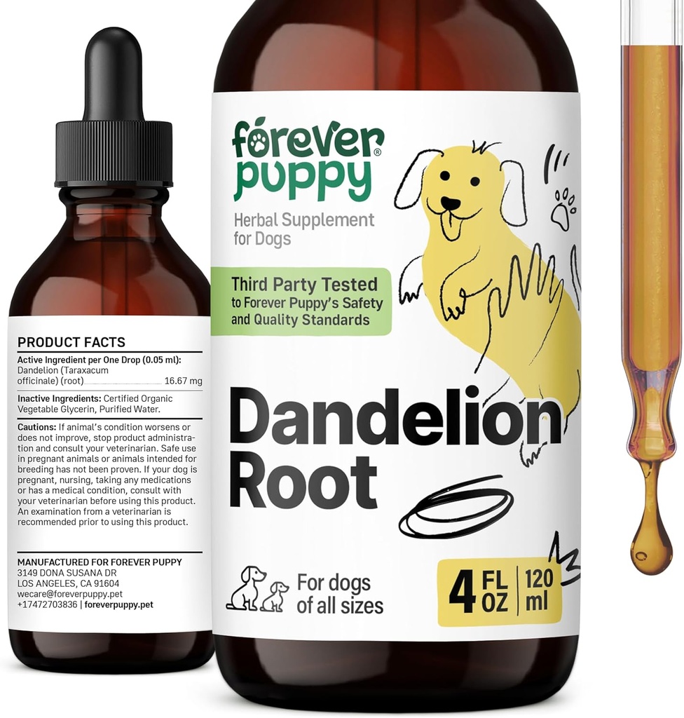 Ikuisesti Pentu Voikukka Root Drops koirille - Liquid Liver Health Supplement suurille, keskisuurille ja pienille koirille - Maksan Cleanse Detox Drops w/Dandelion juuriuute - 4 oz