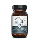 Fermentoitua turskaa Maksaöljy - kylmäkäsitelty, Lacto-Fermented & Raw Cod Liver Oil - Valmistettu yksinomaan Atlantin turskalla (Aromiton, 120 kapselia)