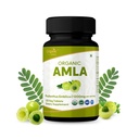 Amla 120 tablettia 
