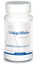 Biotics Research Ginkgo Biloba Standardoitu 24% Ginkgo Biloba Prosenttiuute, aivolisä, Nootropic, Focus, Energia, Muisti, Terve ikääntyminen. 60 tablettia