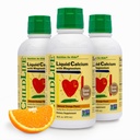 ChildLife Essentials Liquid Calcium Supplement for Kids - Vauva Kalsium magnesium, sinkki, ja D3-vitamiini - Orange Flavor, 16 fl oz (3 pakkaus)