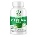 Organic Wheatgrass Capsules | 60 Count | USDA Certified Organic, Non-GMO, Vegan Supplement för Natural Energy Boost, Immune Support och Wellness