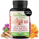 ForestLeaf Organic Irish Sea Moss Capsules | 2100mg Raw Seamoss Pills Advanced Supplement Superfood + Burdock, Bladderwrack för Digestive, Respiratory, Immune Health | 90 Veganic Sea Moss Caps