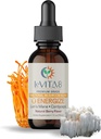 LeVITA8 Premium Mushroom Drops for Aikuinen - 100% Natural Berry Flavor - Synergistinen Blend of Lions Mane Liquid, Cordyceps Extract & B12 - Nopea Absorbing Drop (1oz, 30 päivän tarjonta)