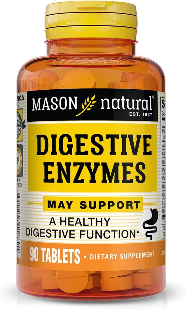 MASON NATURAL Dgestive Enzymes Prebiootit & Probiootit, tukee Ruoansulatuskanavan ja Gut Balance, 90 tablettia