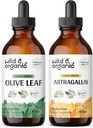 Luonnonvarainen & luomu Olive Leaf Tincture 4 fl oz & Astragalus Tincture 4 fl oz