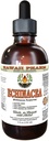 Echinacea Alcohol-Free Liquid Extract, Organic Echinacea (Echinacea Purpurea) Torkade Herb Glycerite Hawaii Pharm Natural Herbal Supplement 4 oz