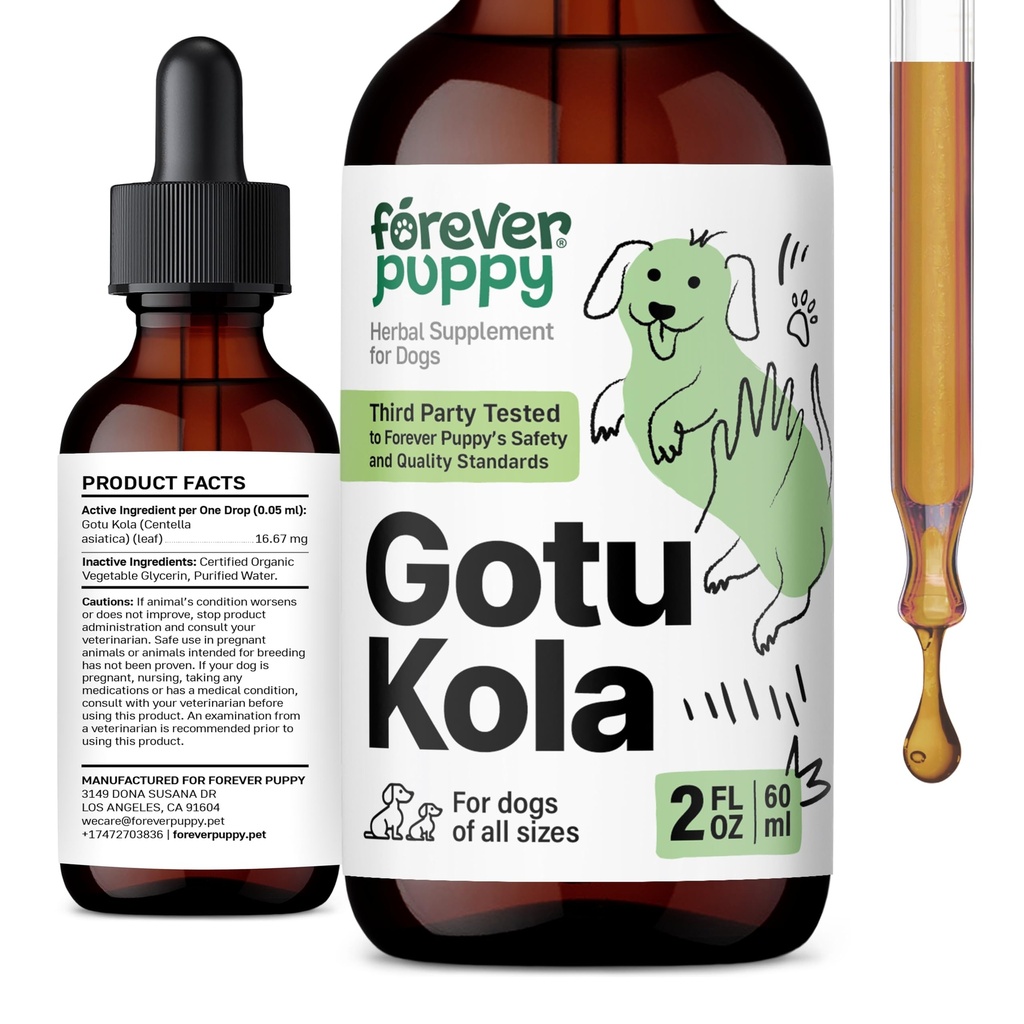 Ikuisesti Pentu Gotu Kola Drops koirille - Centella Asiatica & Gotu Kola Extract aivojen terveys tukea - neste aivojen täydentää koirille kaikki rodut & koko - 2 oz
