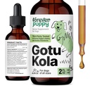 Ikuisesti Pentu Gotu Kola Drops koirille - Centella Asiatica & Gotu Kola Extract aivojen terveys tukea - neste aivojen täydentää koirille kaikki rodut & koko - 2 oz