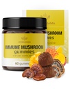 HERBAMAMA Immuunituki Mushroom Gummies - Multi Sieni Blend Complex antioksidantti tuki - Vegan, ei-GMO Immuniteetti täydentää - 60 Pectin-Baseed Mango-Flavored Chews