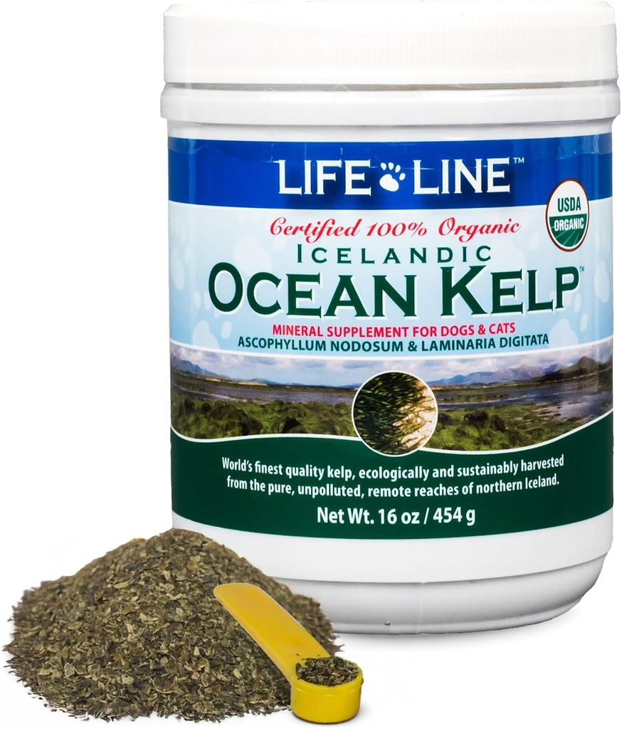 Life Line USDA Certified Organic Ocean Kelp Lemmikkieläinten & Kotieläinten Kannattaa ihon ja takin terveys, Immuniteetti, ja hammashygienia Edistää aineenvaihduntaa & vähentää Platque ja sheeding . 16 oz
