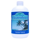 Eidon Elektrolyyttejä - Nestemäisiä Elektrolyyttipisaroita, Joonic Mineral täydennysosa Lisää veteen, Replenish & Balance Elektrolyyttitasapaino, nesteytys tuki, makeuttamaton sokerivapaa - 18 oz