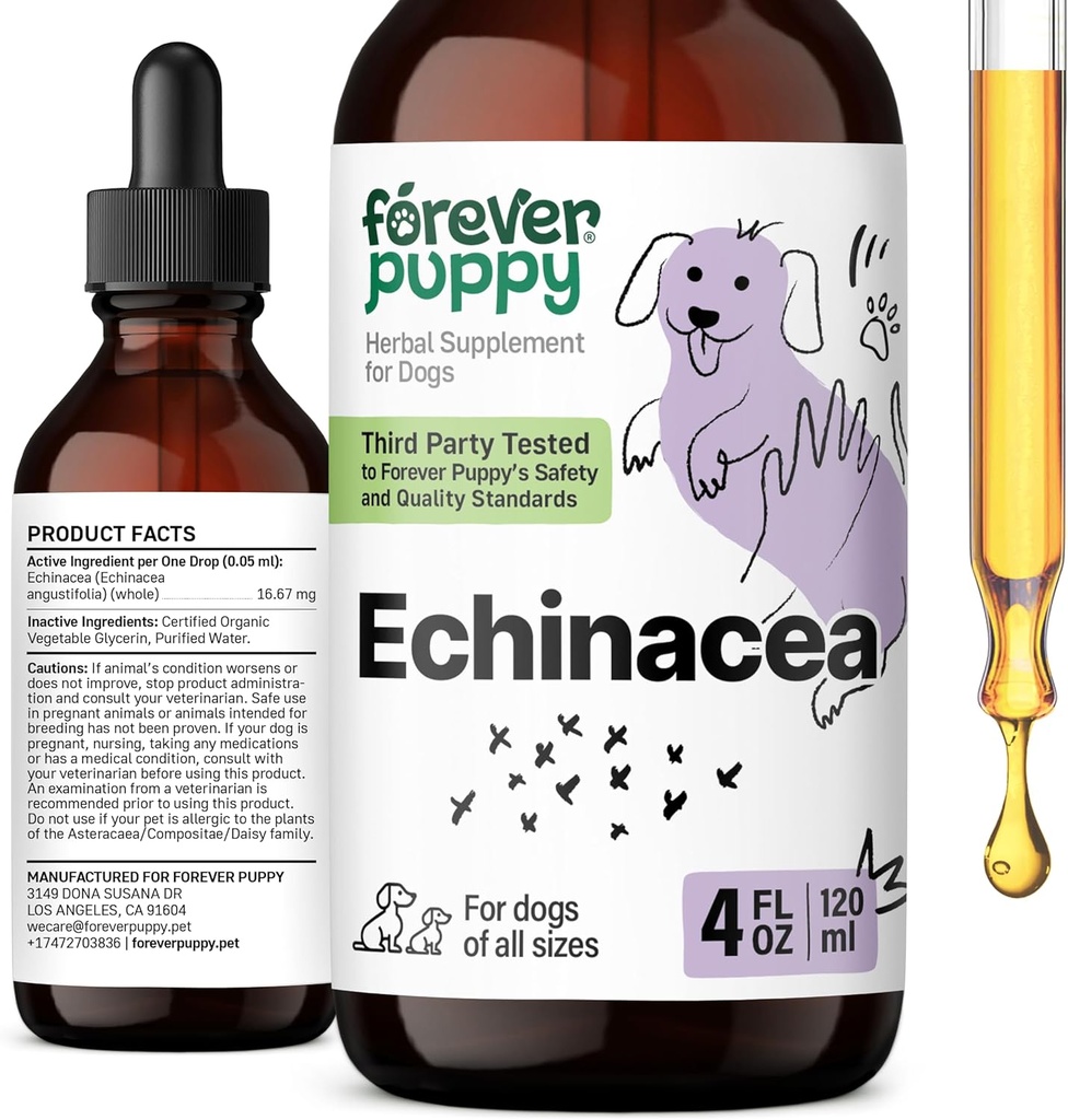 Ikuisesti Pentu Echinacea Drops koirille - Immuniteetti tuki & hengitysteiden terveys w / Echinacea Herb Extract - Liquid Immuuni tuki täydentää koirille kaikki rodut & koko - 4 oz