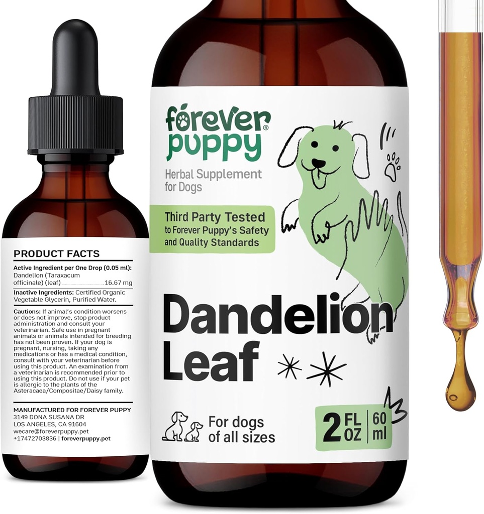 Ikuisesti Pentu Voikukka Leaf Drops koirille - Munuaisten Health Liquid Supplement suurille, keskisuurille ja pienille koirille - Munuaisten Cleanse Detox Drops w/Dandelion Lehdet Tincture - 2 oz