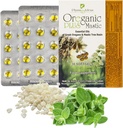 Oreganic Plus Mastic - Oregano Essential Oil Kapselit & Chios Mastic Gum Oil - Wild Oregano Oil Kapselit Organic - Immuuni Booster ja suolisto tuki - ei-GMO - 30 Count Läpipainopakkaus