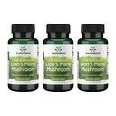 Swanson Lion's Mane Mushroom - Perinteinen aivojen Booster Supplement valmistettu Hericium Erinaceus (60 kapselia, 500 mg Each) 3 pakkaus