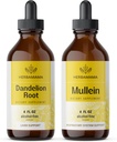 HERBAMAMA Herbal Liquid Drops Kit - Bundle of Dandelion Root och Mullein Leaf Tincture 4 fl oz - Vegan, Non-GMO, Sugar & Alkoholfri - 2 Pack
