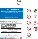 Foods For Gut Lactobacillus Plantarum Probiootti Powder 400 Billion cfu's . Made in USA ... Ei lisäaineita... Suoraan valmistajalta... Ei kolmannen osapuolen varastointia...