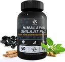 Shilajit Himalayan Supplement 60% Fulvic Acid, 120 Vegaanikapselit Supply with Pure Natural Shilajit, Ashwagandha, Ginseng Extract - High in Trace Minerals for Men Energy Support