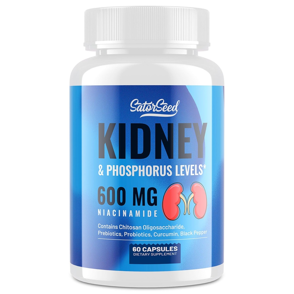 Kidney Cleanse Detox & Repair - Njurstödstillägg med 600 mg Niacinamide, Chitosan Oligosaccharide, Curcumin, Probiotika - Fosforbinder - 60 kapslar